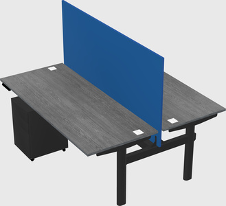 Shared electric desk