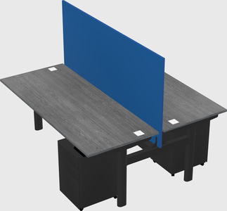 Shared electric desk