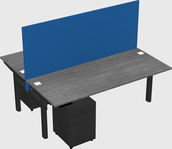 Shared electric desk