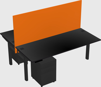 Shared electric desk