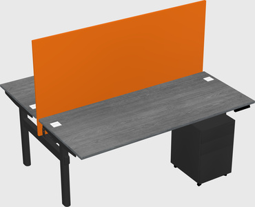 Shared electric desk