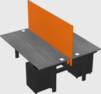 Shared electric desk