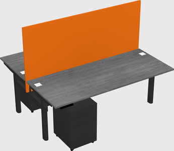 Shared electric desk