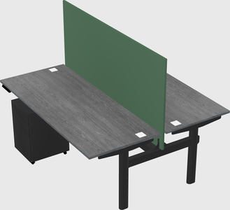 Shared electric desk
