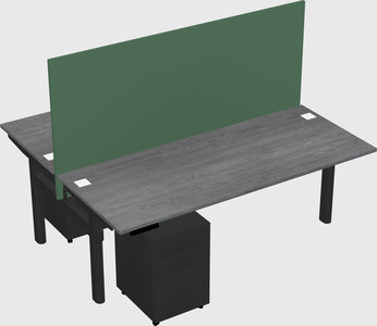 Shared electric desk