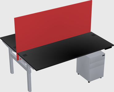 Shared electric desk