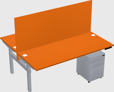 Shared electric desk