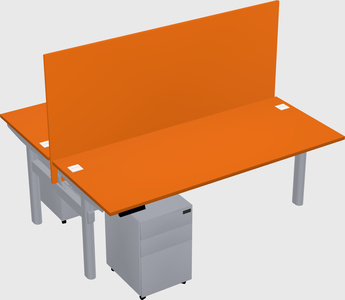 Shared electric desk