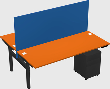 Shared electric desk