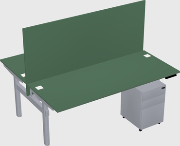 Shared electric desk
