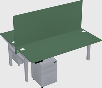 Shared electric desk