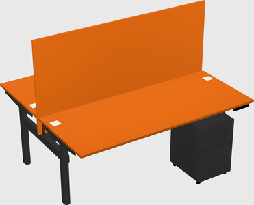 Shared electric desk
