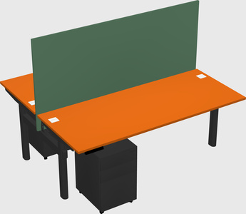 Shared electric desk