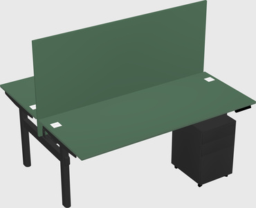 Shared electric desk