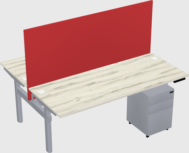 Shared electric desk