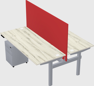 Shared electric desk