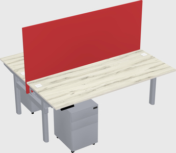 Shared electric desk
