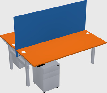 Shared electric desk