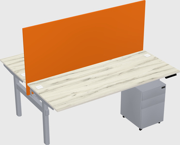 Shared electric desk