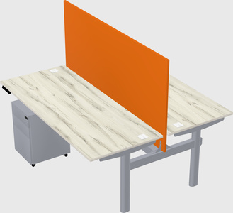 Shared electric desk