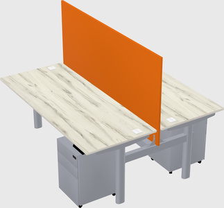 Shared electric desk