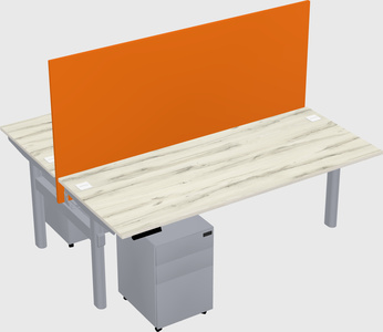 Shared electric desk
