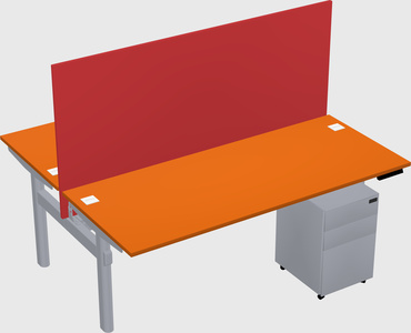 Shared electric desk