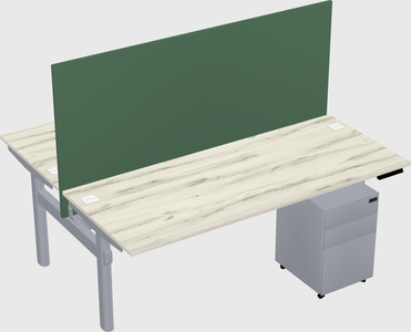 Shared electric desk