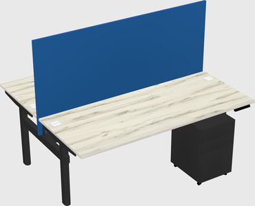 Shared electric desk