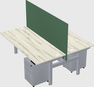 Shared electric desk