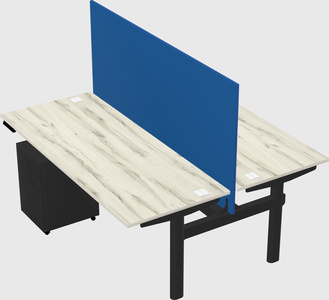 Shared electric desk