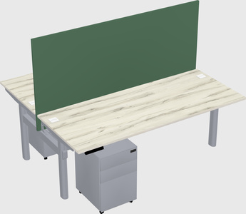 Shared electric desk