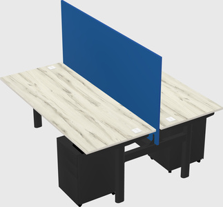 Shared electric desk