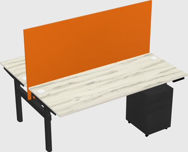 Shared electric desk