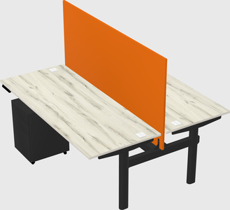 Shared electric desk