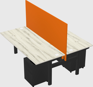 Shared electric desk