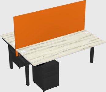Shared electric desk