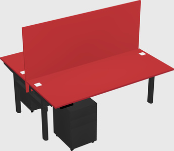 Shared electric desk