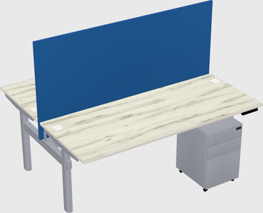 Shared electric desk