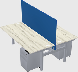 Shared electric desk