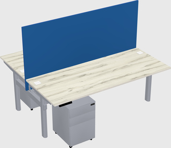 Shared electric desk