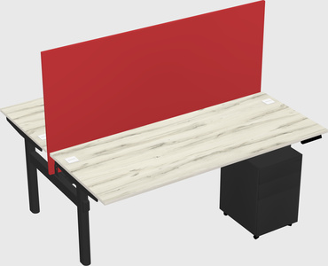 Shared electric desk