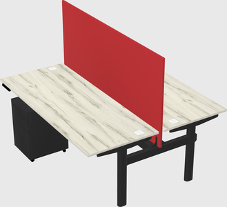 Shared electric desk