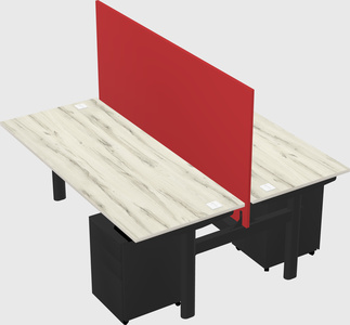 Shared electric desk