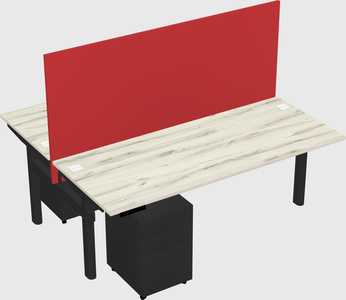 Shared electric desk