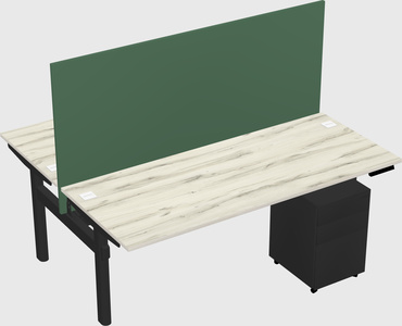 Shared electric desk