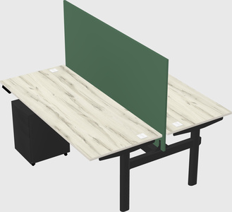 Shared electric desk