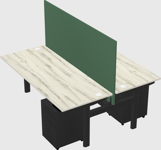 Shared electric desk