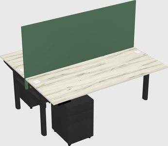 Shared electric desk