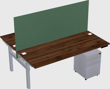 Shared electric desk